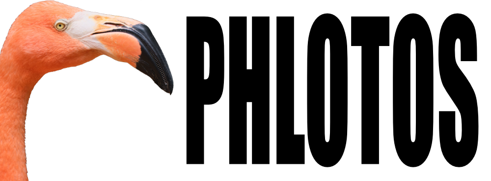 phlotos